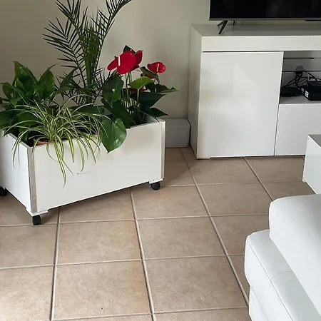 Le Lotois Les Ondines *