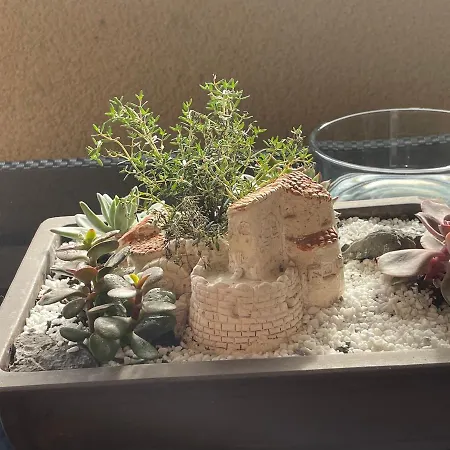 Daire Le Lotois Les Ondines